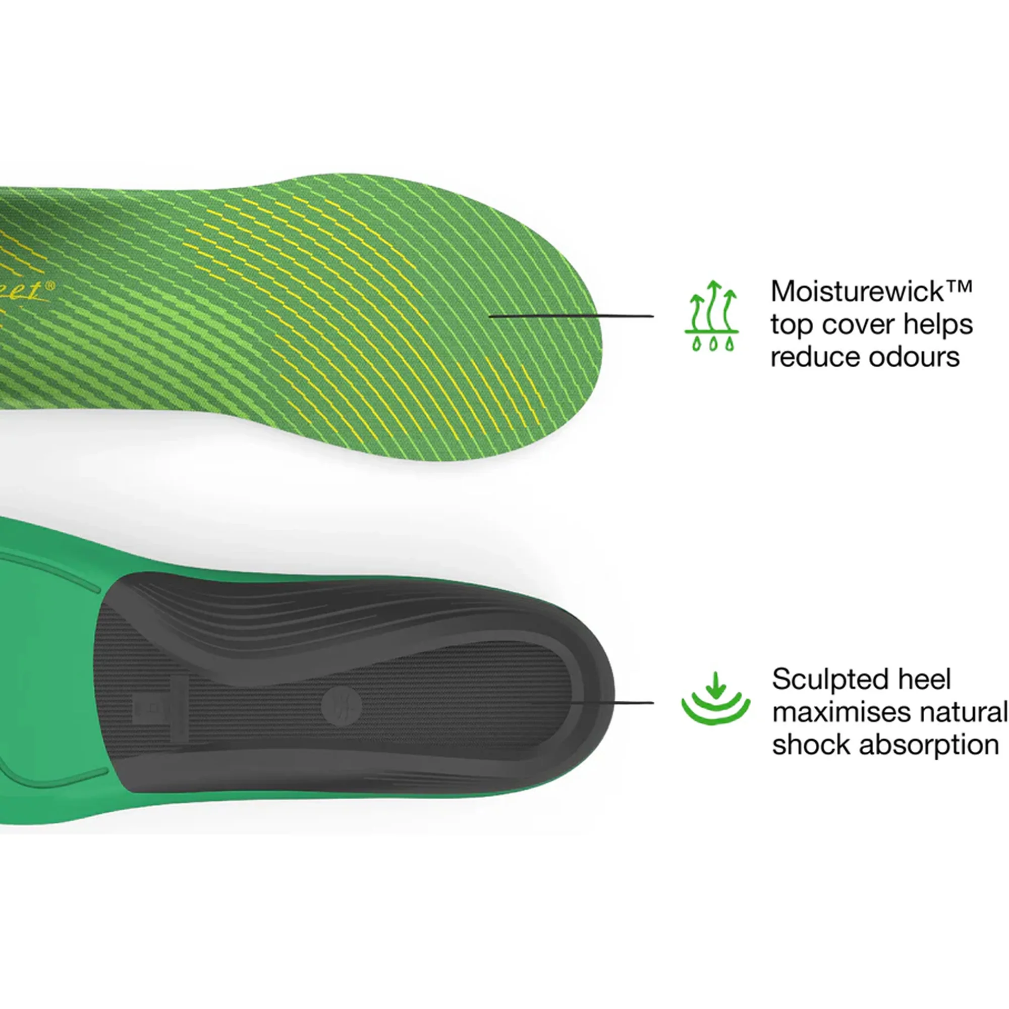 Active Support High Arch - V2 Max - Image 3