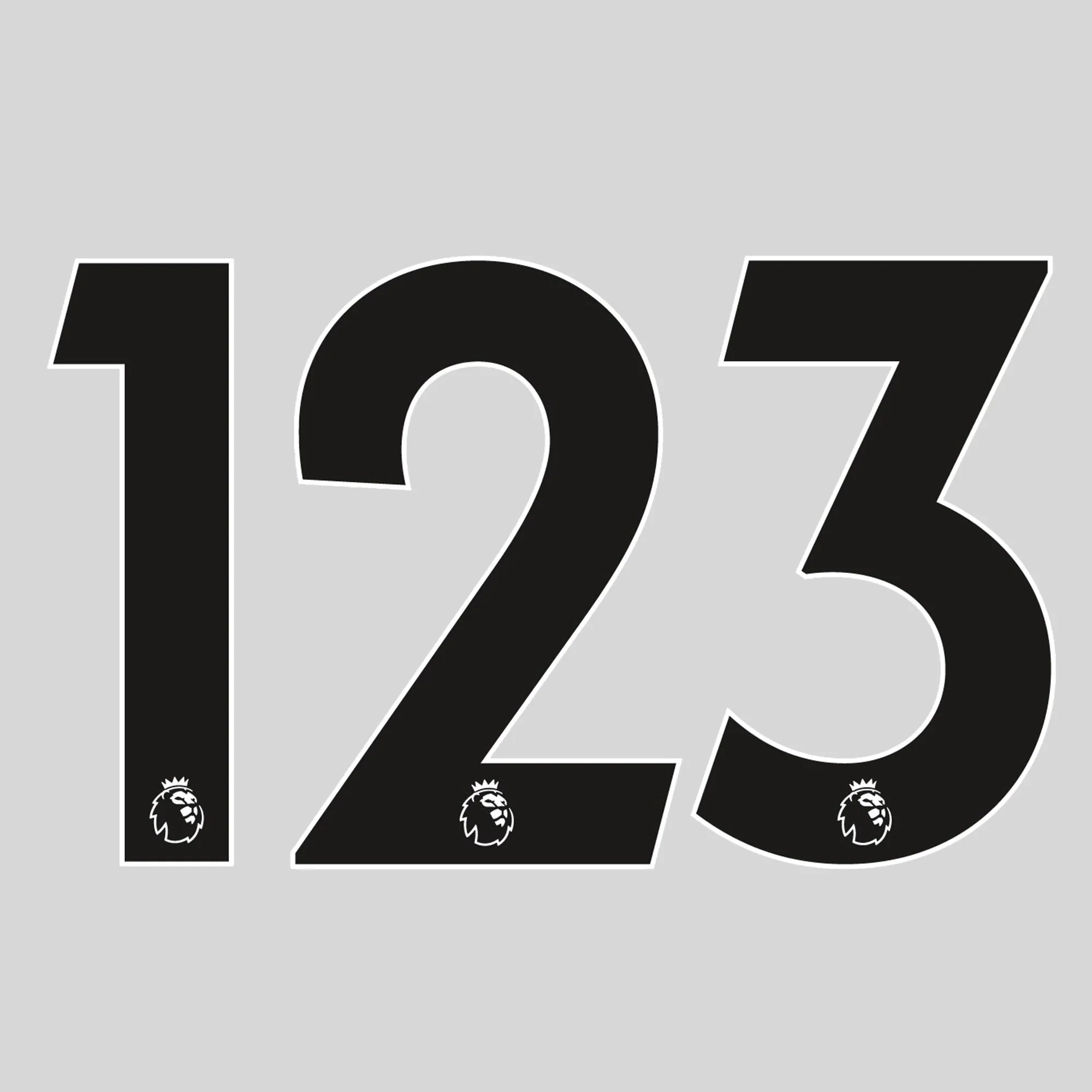 Adult Premier League Numbers 17/23