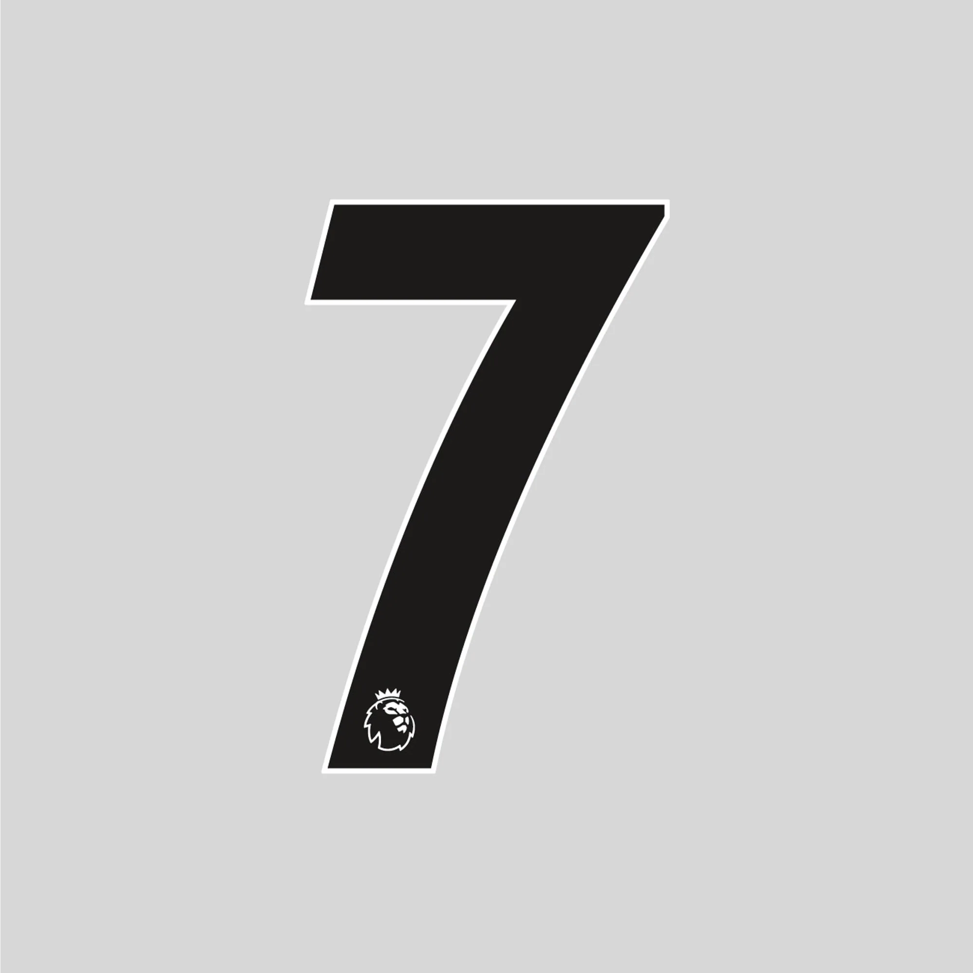 Adult Premier League Numbers 17/23 - Image 4