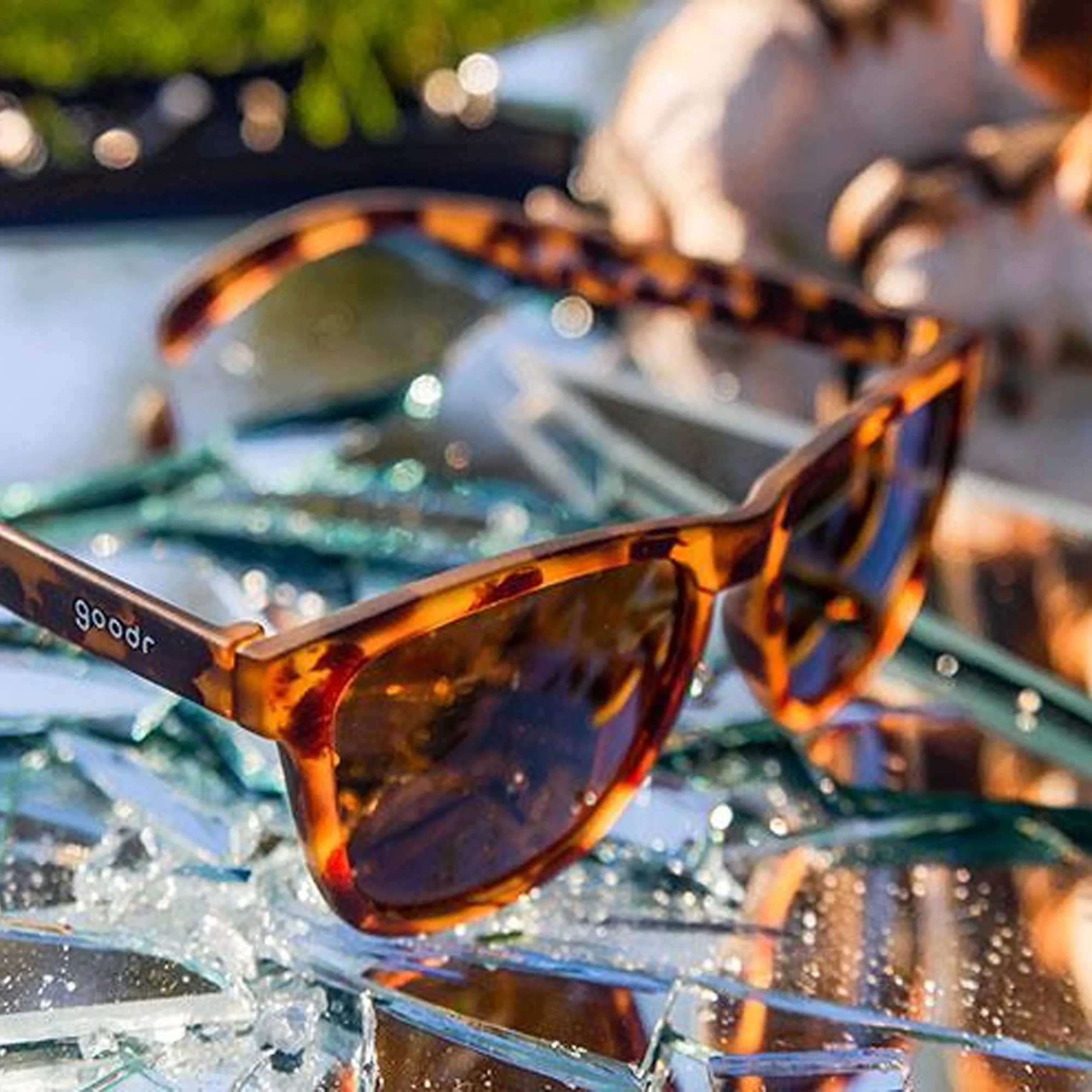 Bosley's Basset Hound Dreams Sunglasses - Image 3
