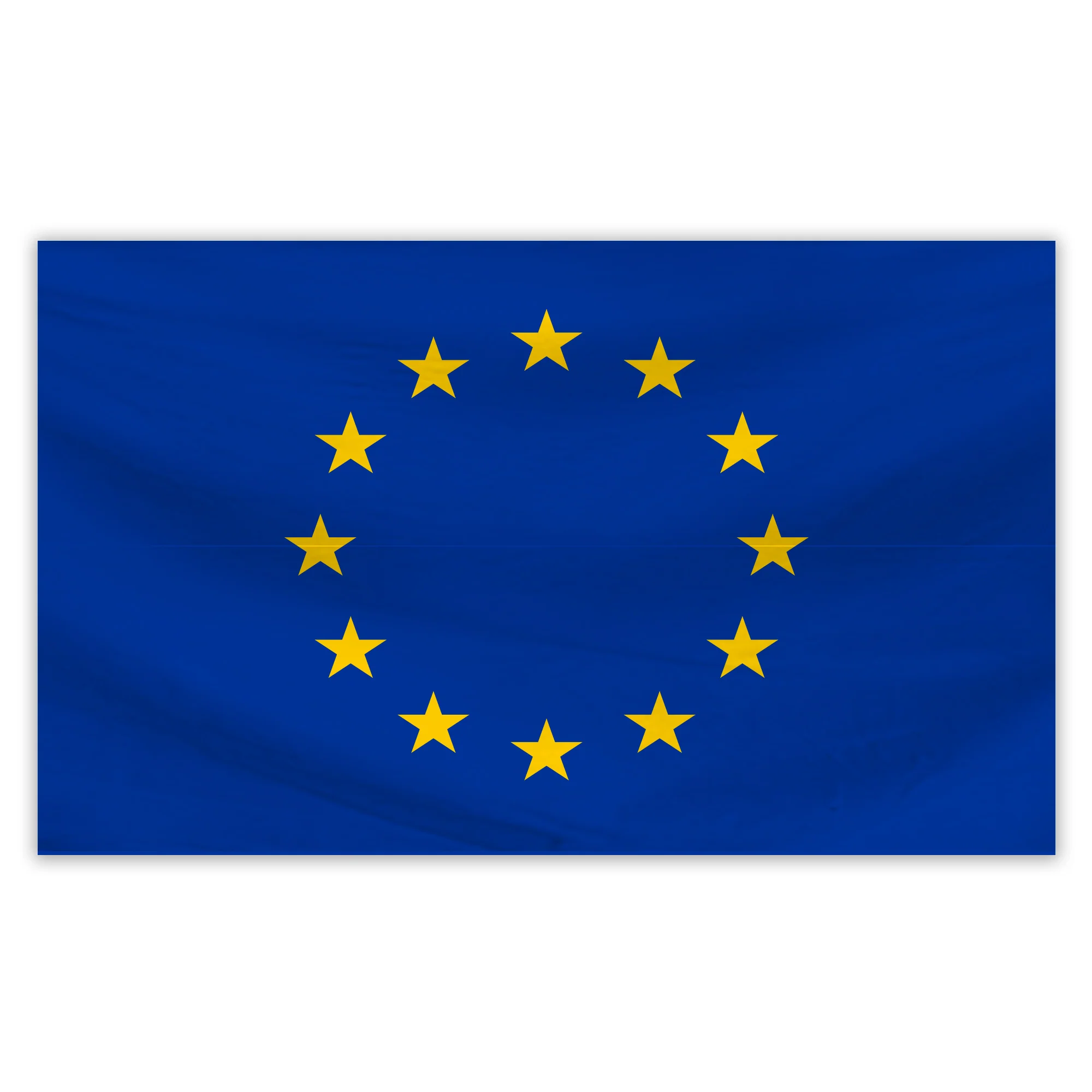 Euro 5Ft Flag