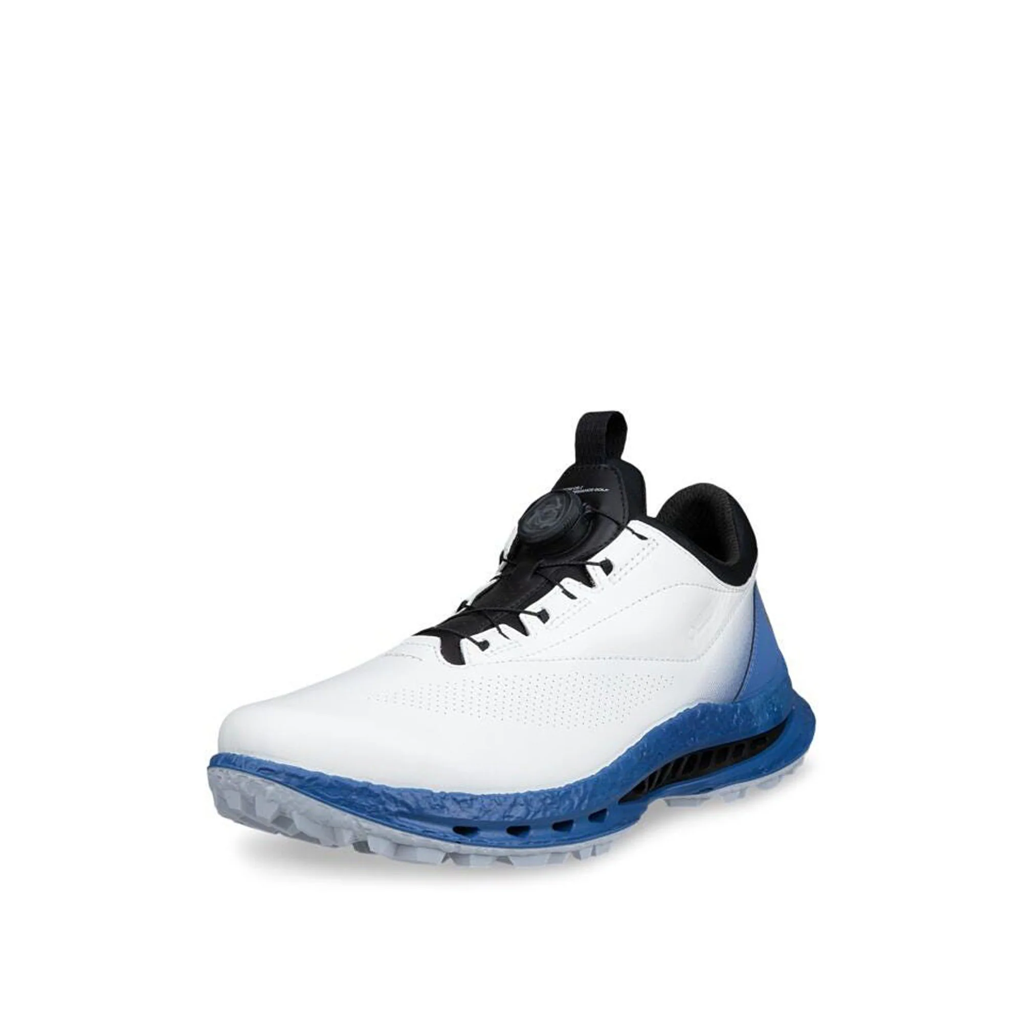 Golf Biom C5 Boa GTX Golf Shoes - Image 2