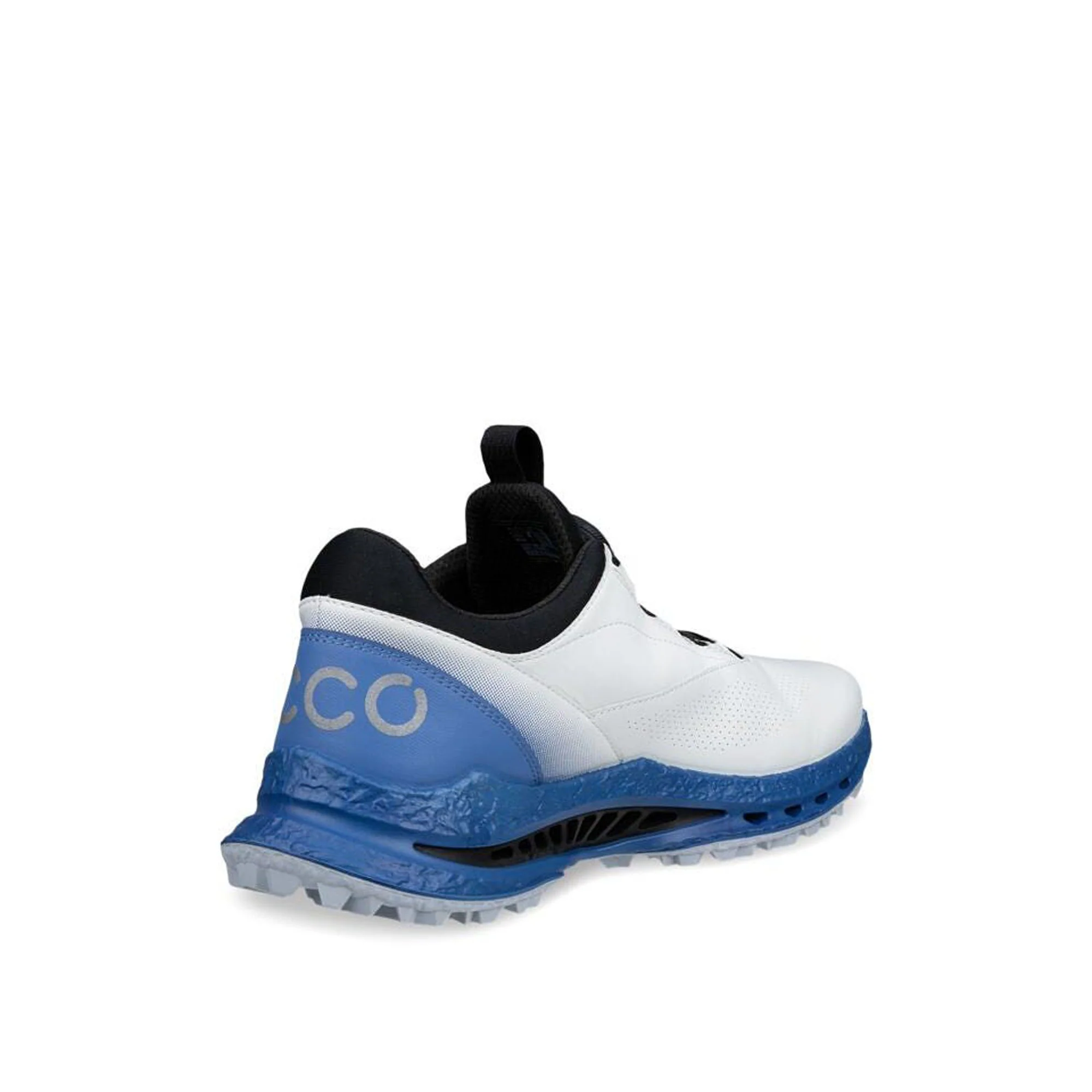 Golf Biom C5 Boa GTX Golf Shoes - Image 3