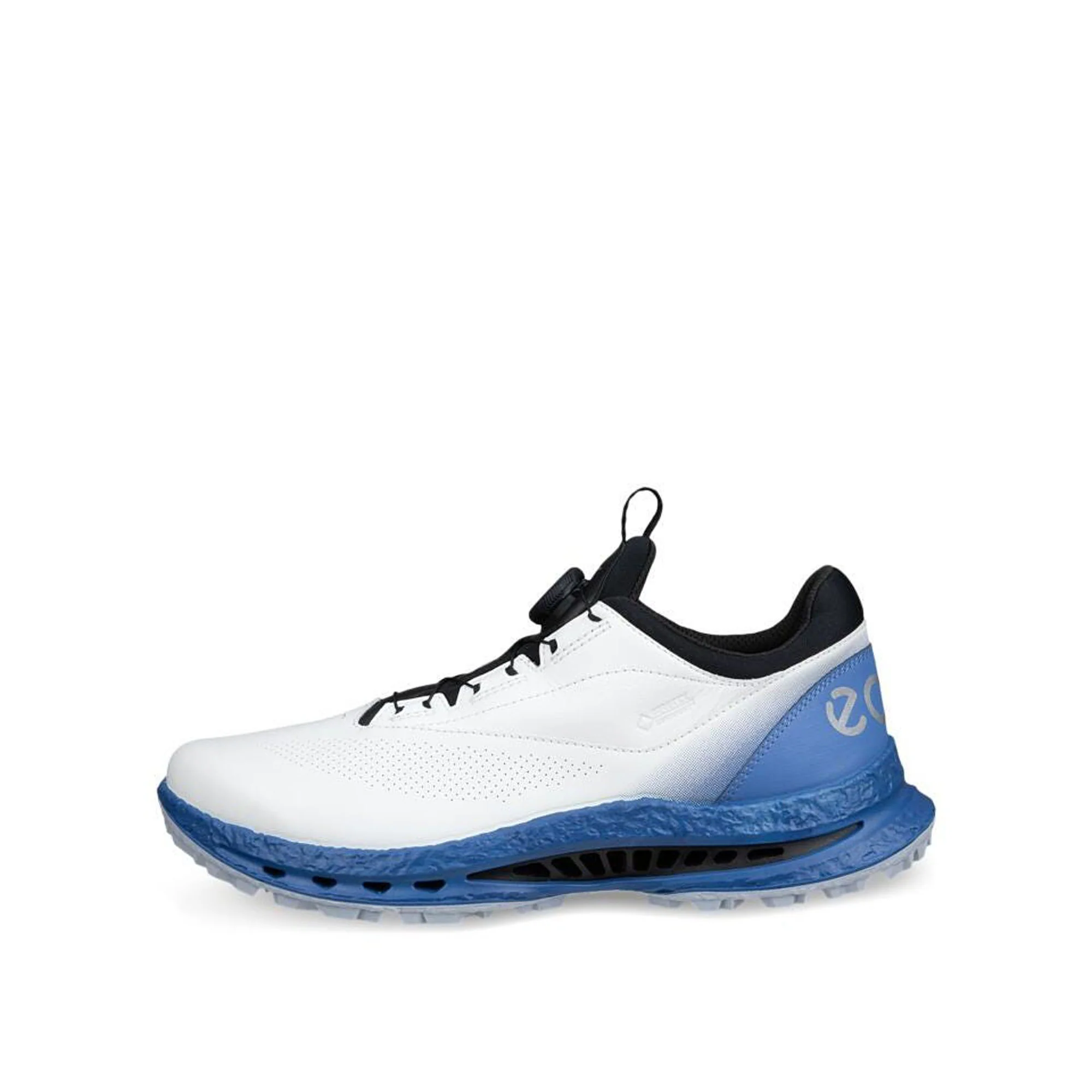 Golf Biom C5 Boa GTX Golf Shoes - Image 4