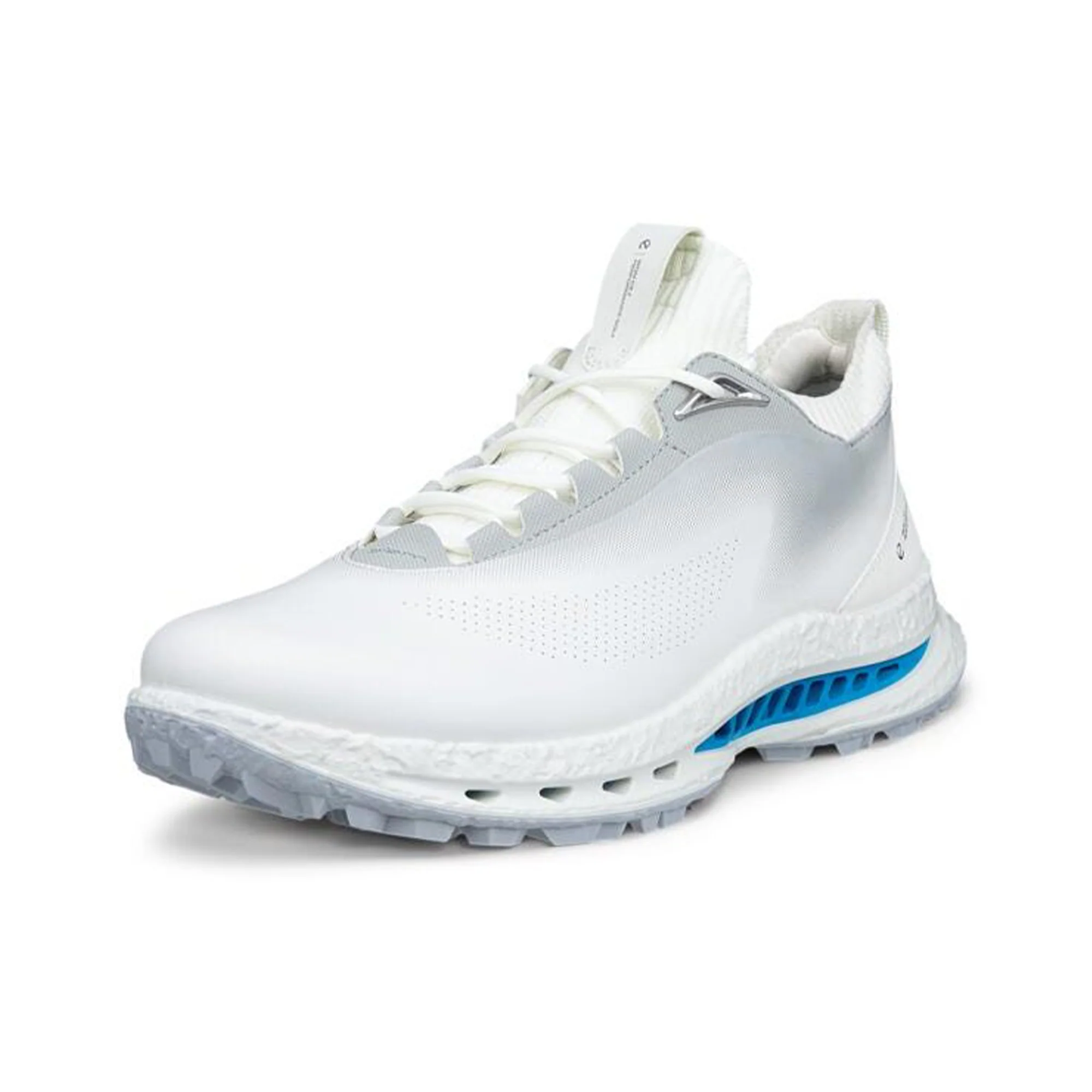 Golf Biom C5 GTX Golf Shoes - Image 2