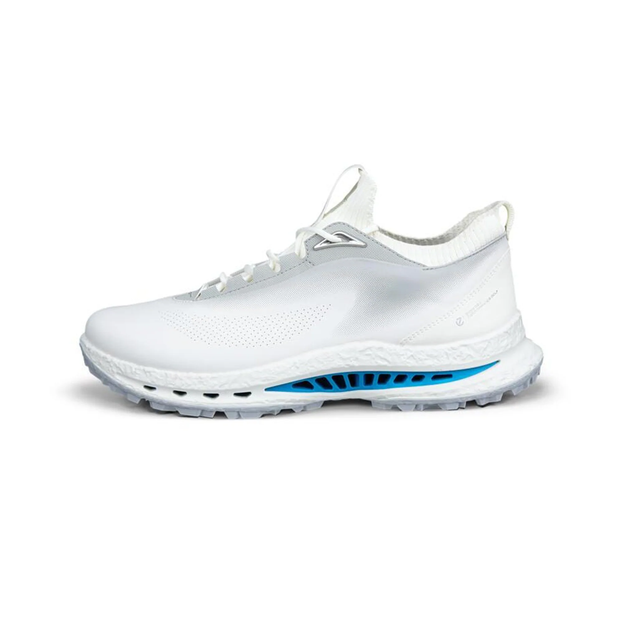 Golf Biom C5 GTX Golf Shoes - Image 4