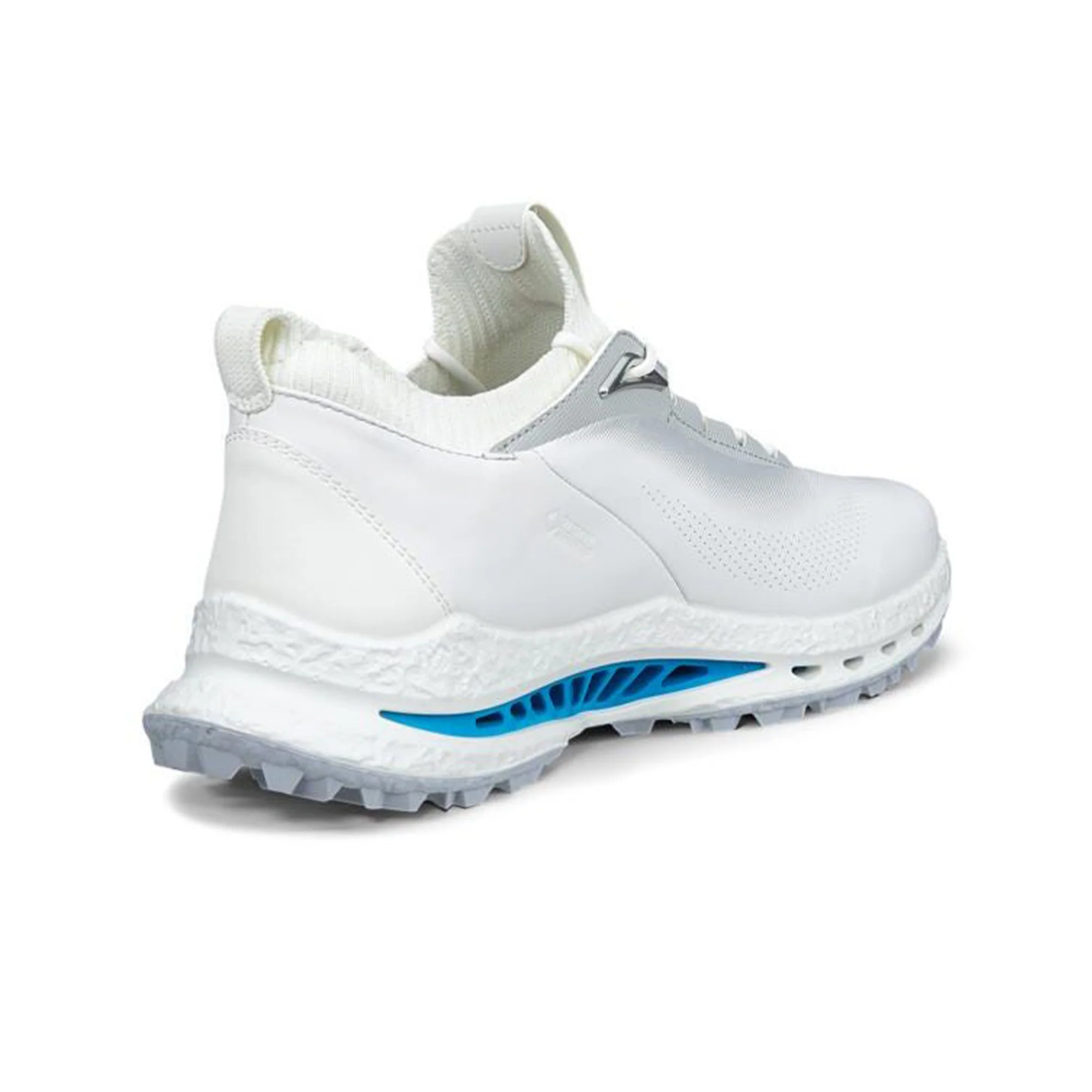 Golf Biom C5 GTX Golf Shoes - Image 5