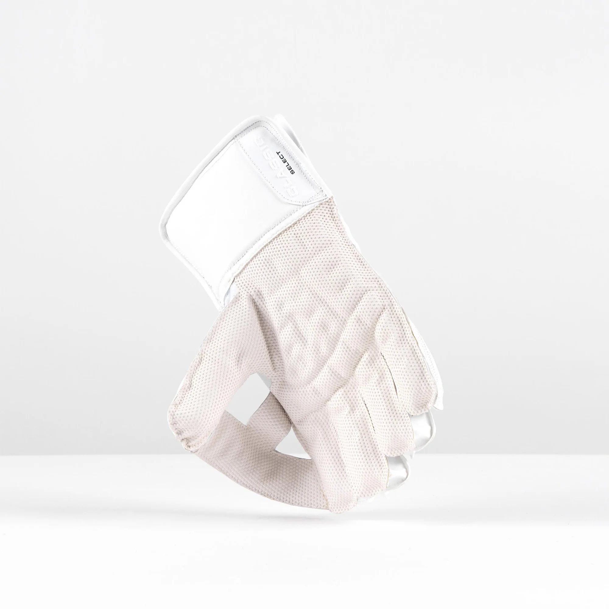 Wicketkeeping Classic Select Gloves - Image 3