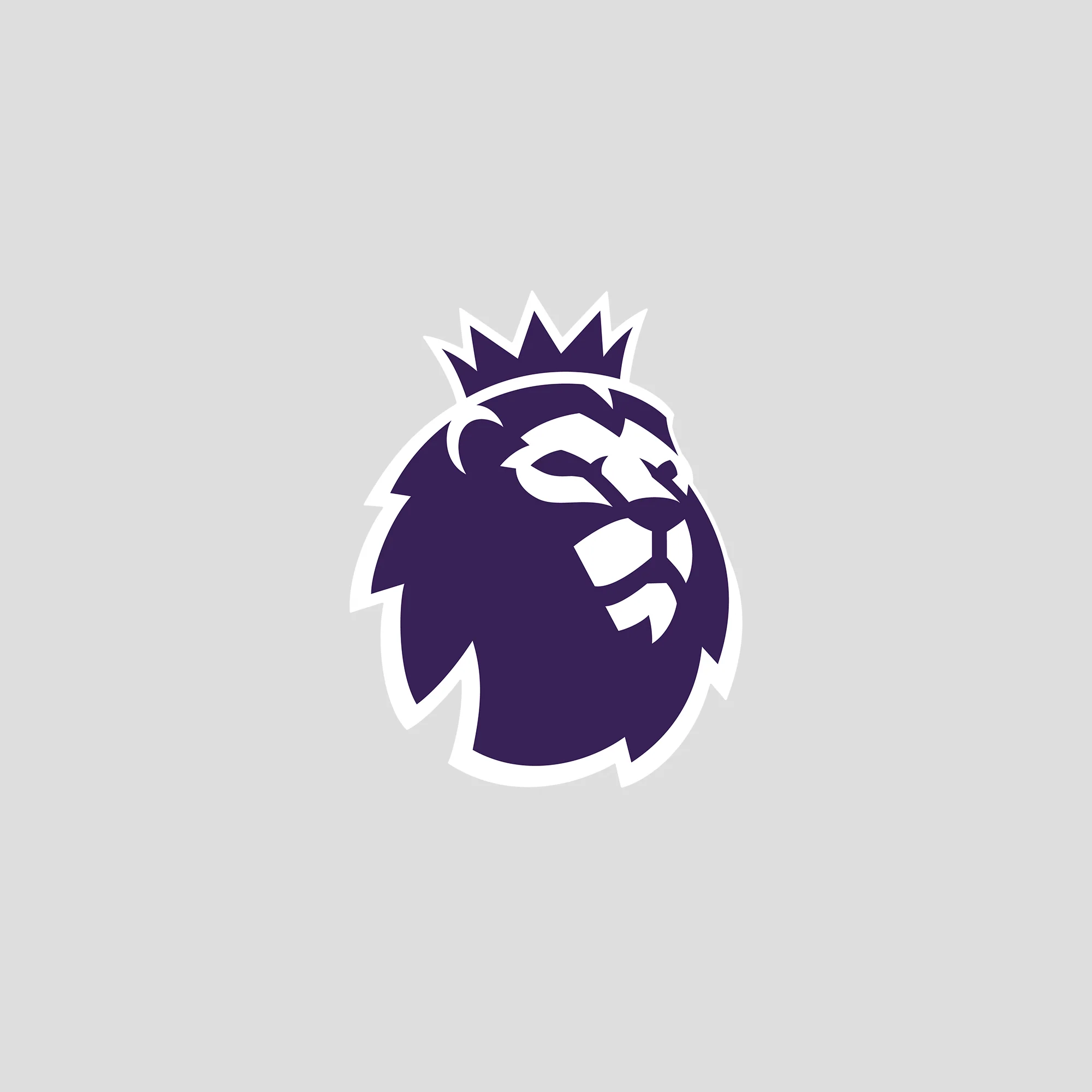 Junior - EPL Sleeve Badge